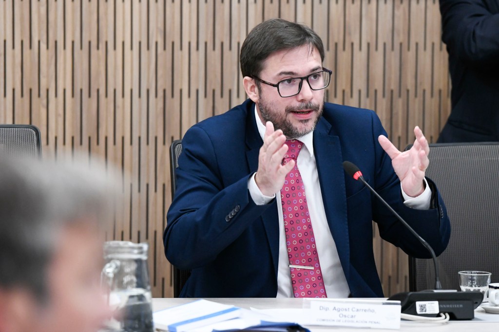 Diputados debate subir a 100 millones el mínimo para evasión&nbsp;simple