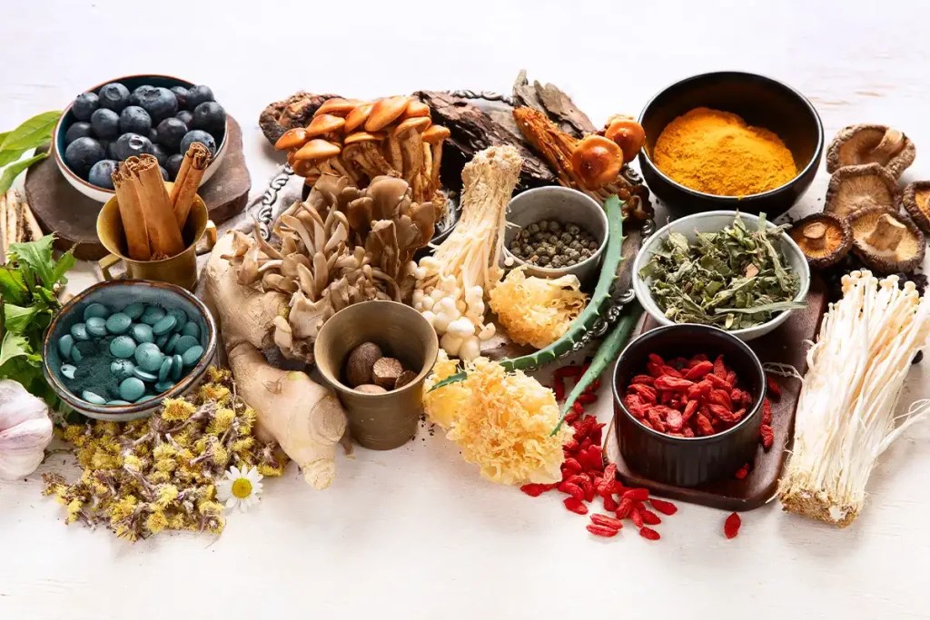 Adaptógenos: los aliados naturales que ayudan al cuerpo a enfrentar el estrés&nbsp;moderno