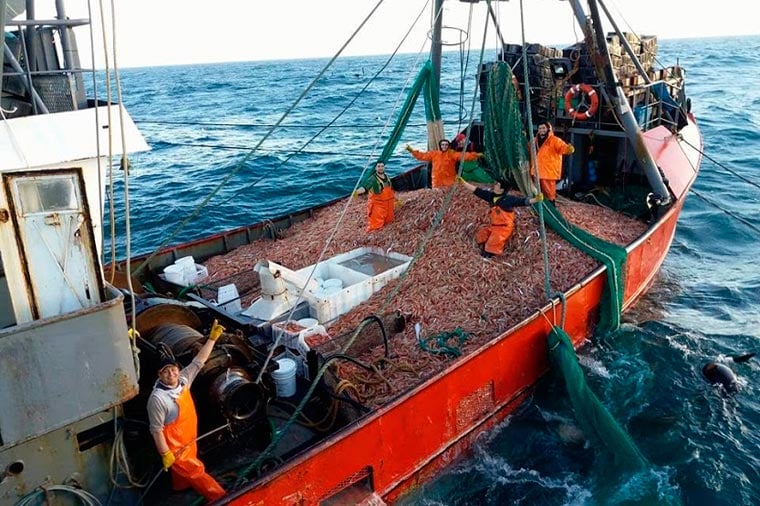La pesca marítima creció 14,3% interanual en febrero, aunque cayó frente a enero
