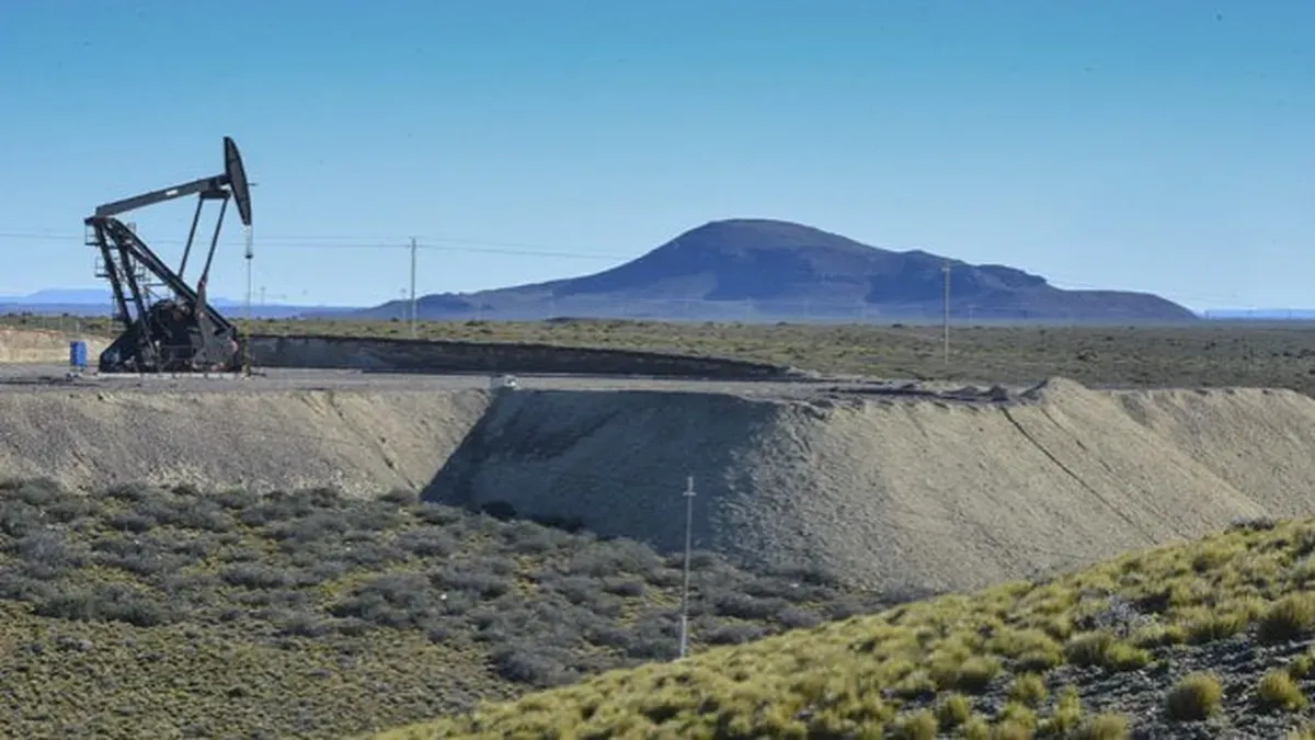 PAE invertirá USD 680 millones en Cerro Dragón y buscará ingresar al RIGI